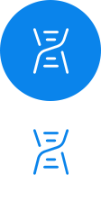 設(shè)計(jì)、樣線開(kāi)發(fā) 定型及試驗(yàn)